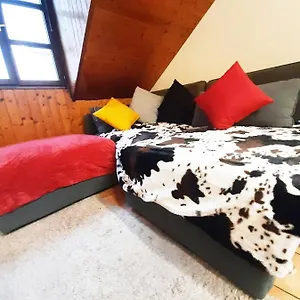  Séjour chez l'habitant Jolie -appart Partagé- Centre - 5 Min Gare&lac - Gratuit- Wifi, Petit Dej, Serviettes, Velos